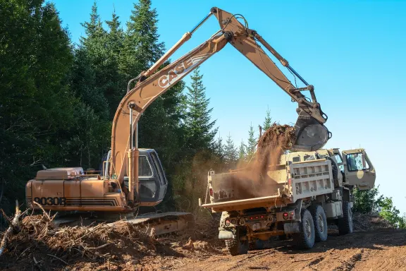 בינגו קפה קזינו תמיכה